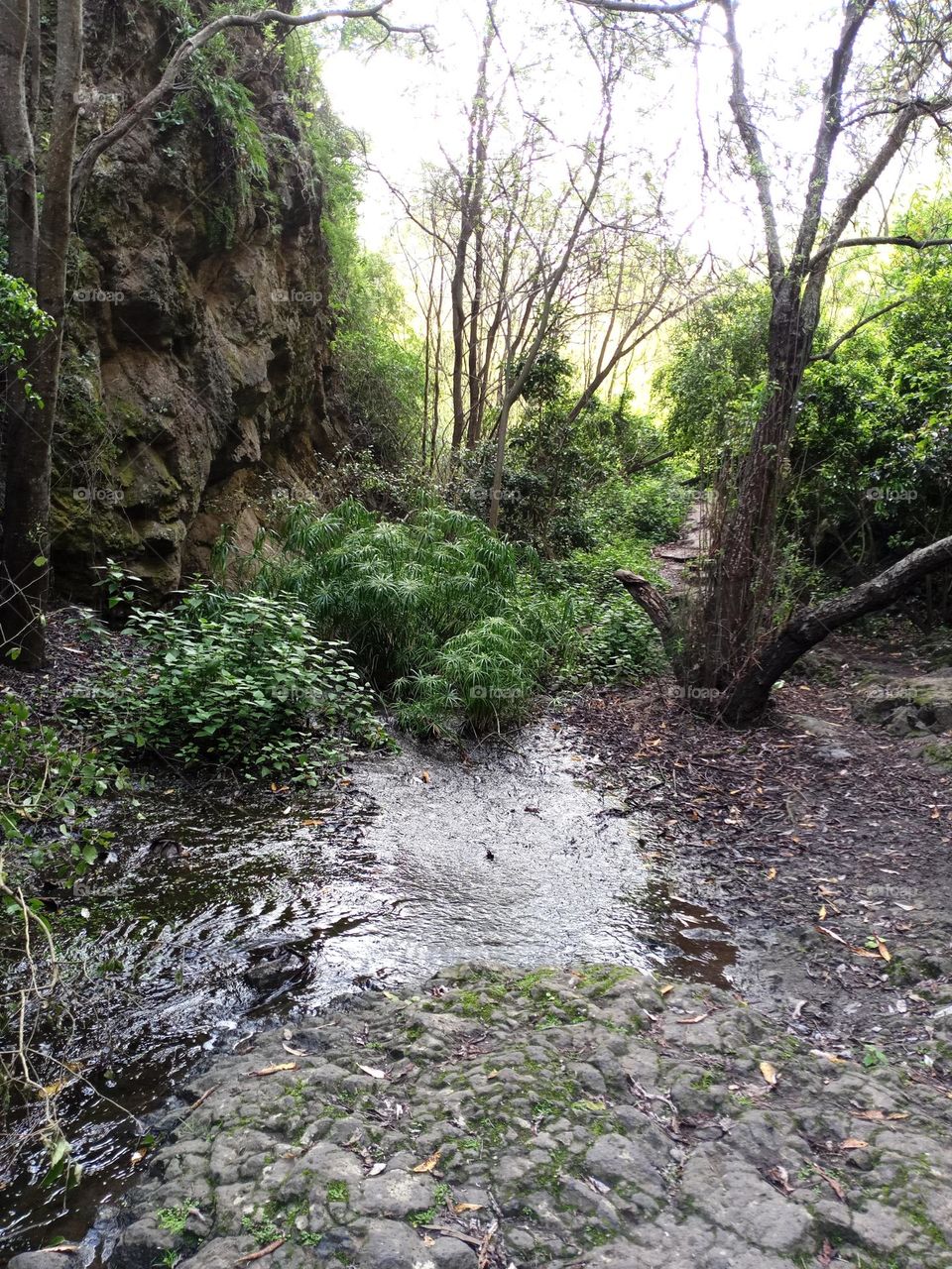 barranco Azuaje gran canaria