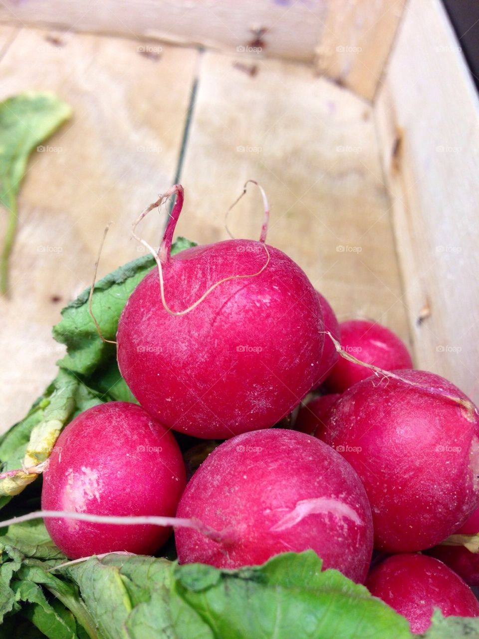 Radishes