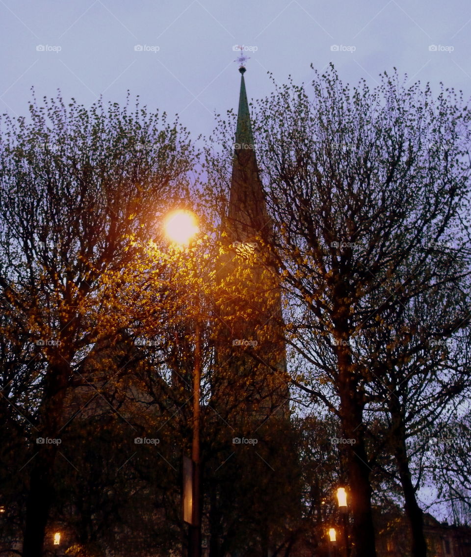 church behind trees