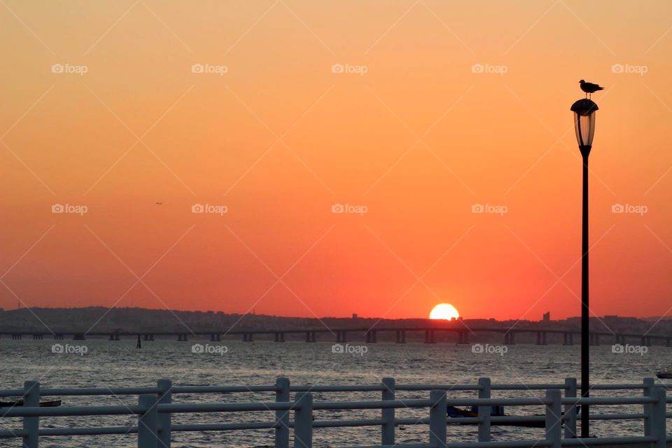 Seagull on the street lamp watching the Sunset on the beach and bridge 