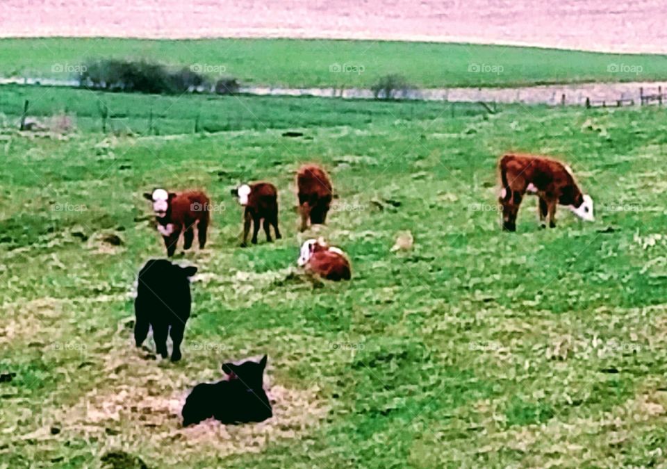 Driving the Back Roads and enjoying everything around us