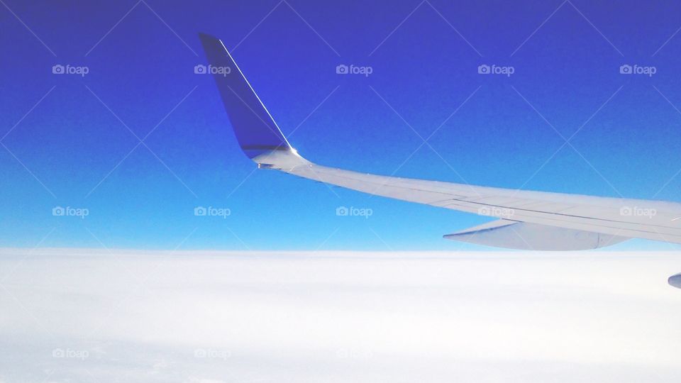 Soar. Mid-flight plane wing