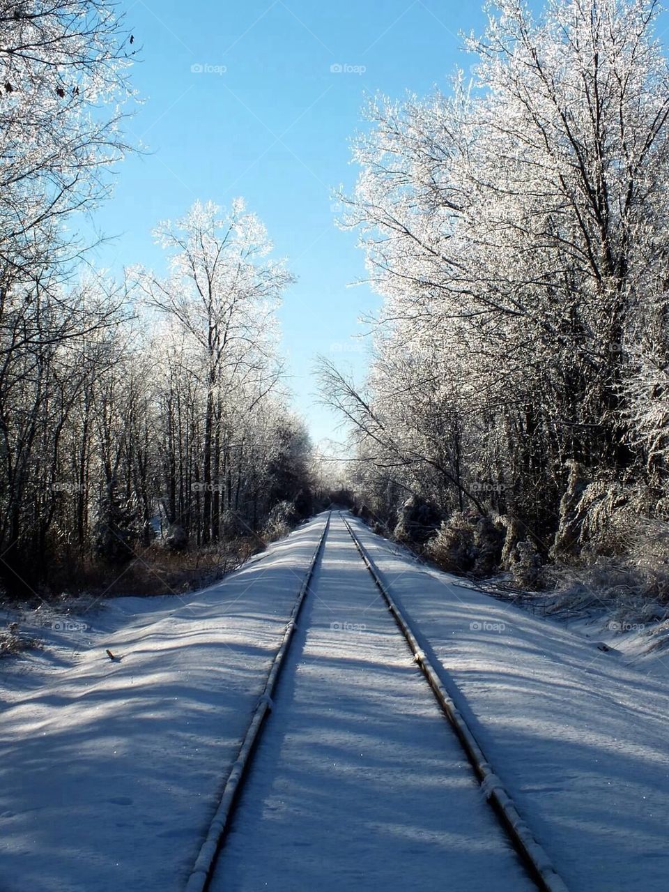 Snowy tracks 