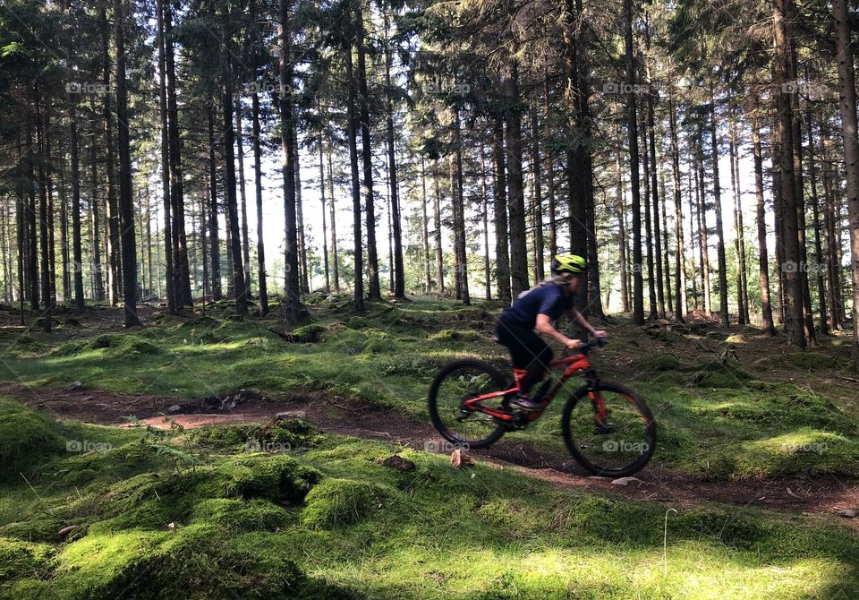 Social distance by mountainbike in the woods