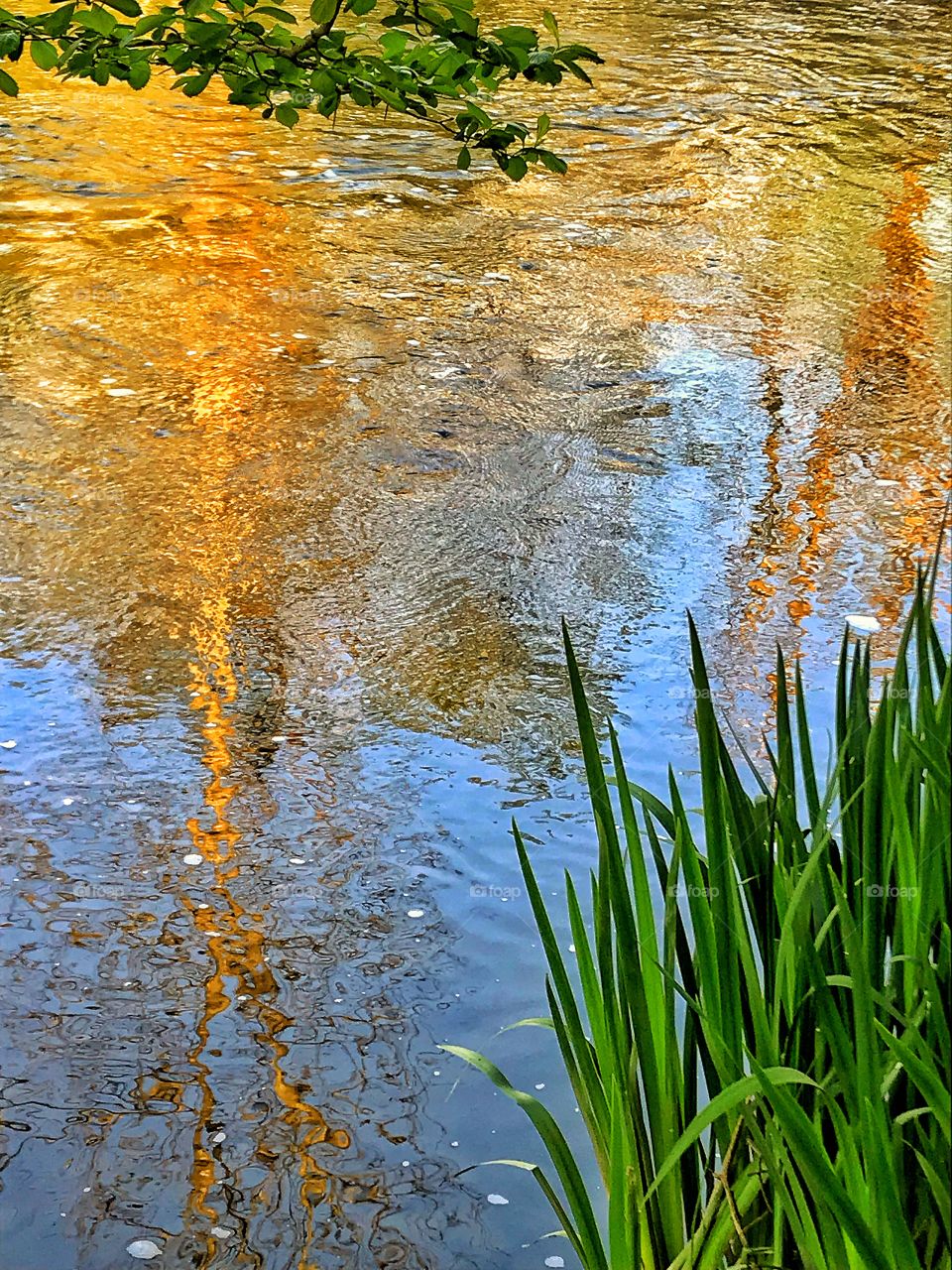 Reflections on a creek