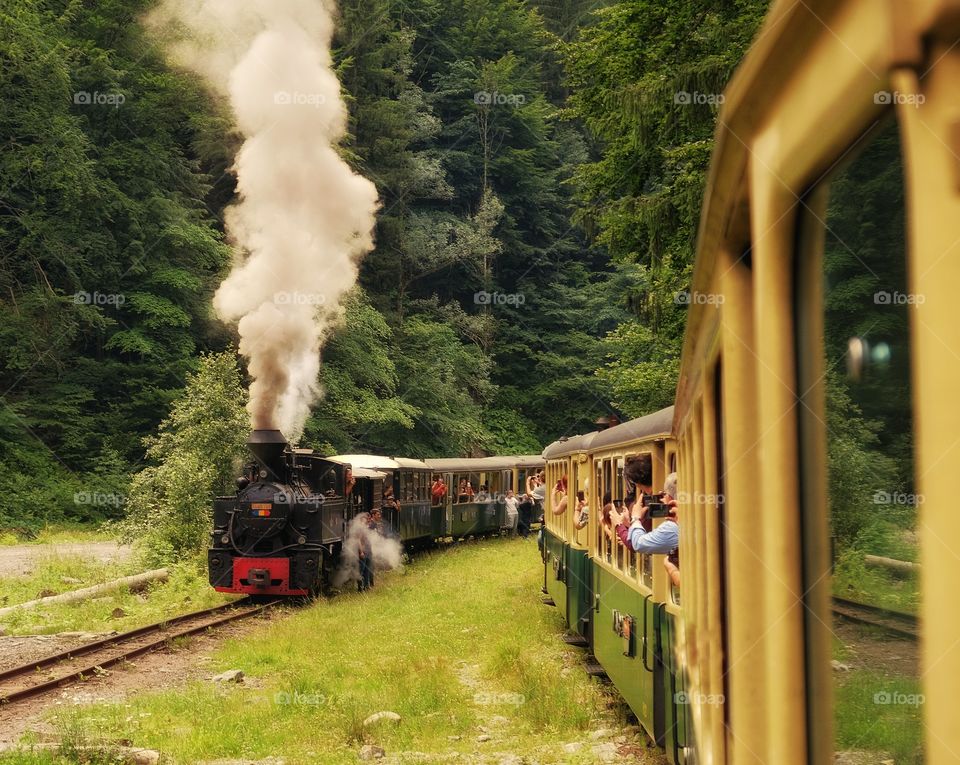 Mocanita - old time vintage steam train locomotive