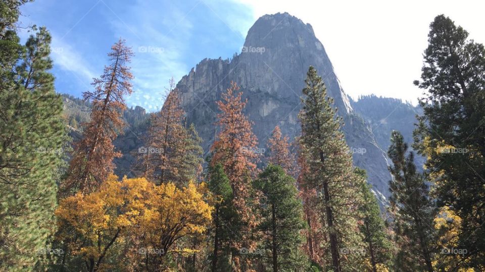 Colors at Yosemite 