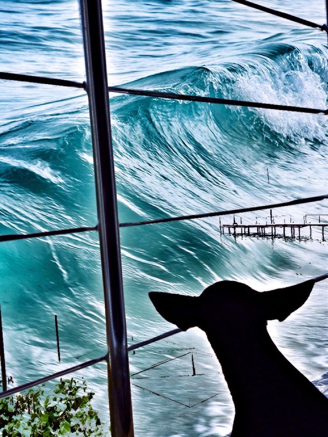 Storm