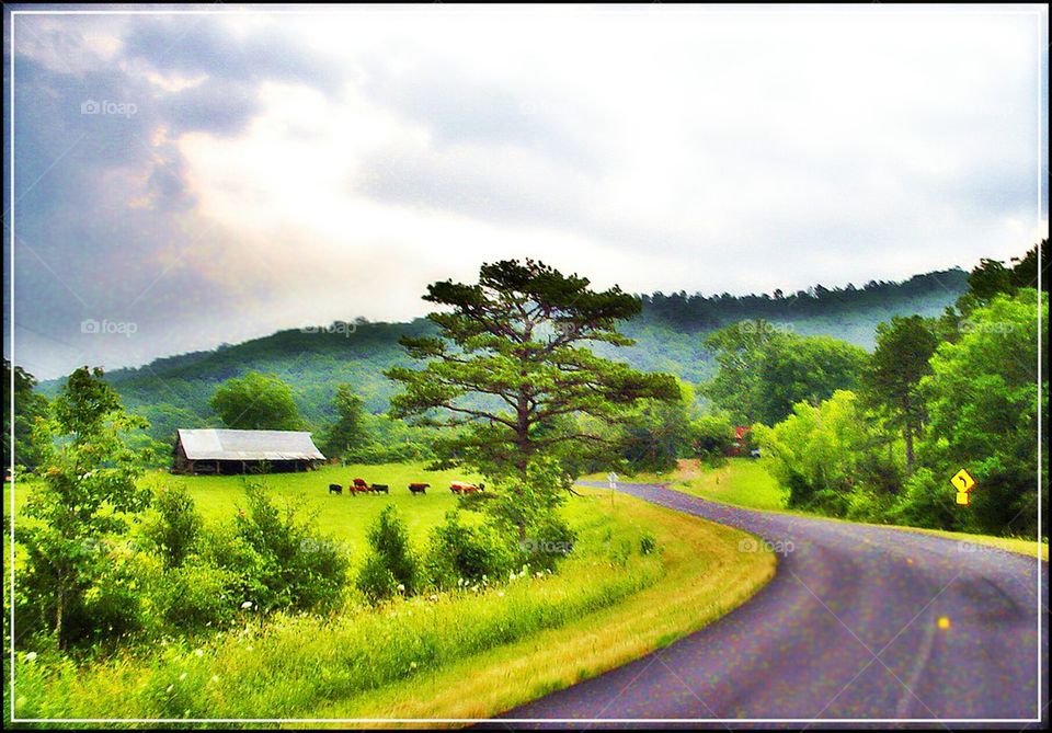 country road