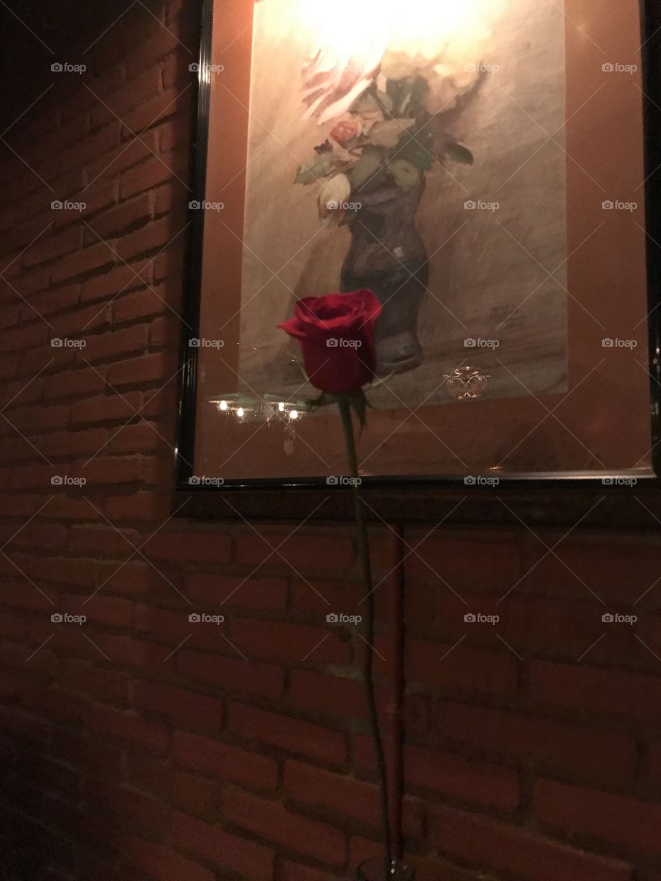 Birthday rose!