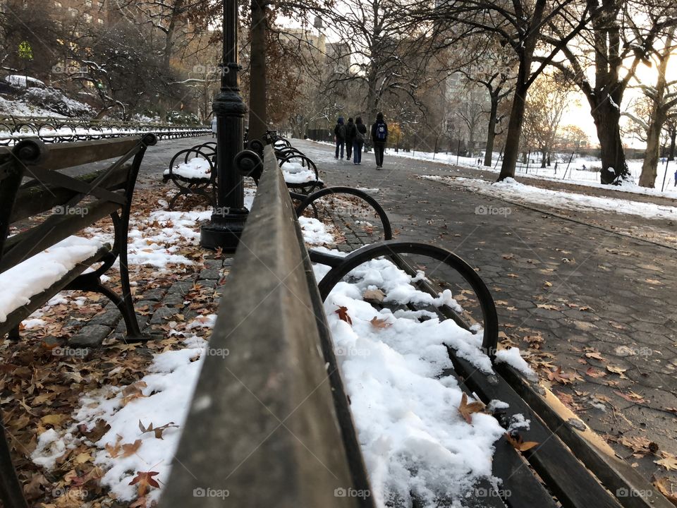 Winter in NYC