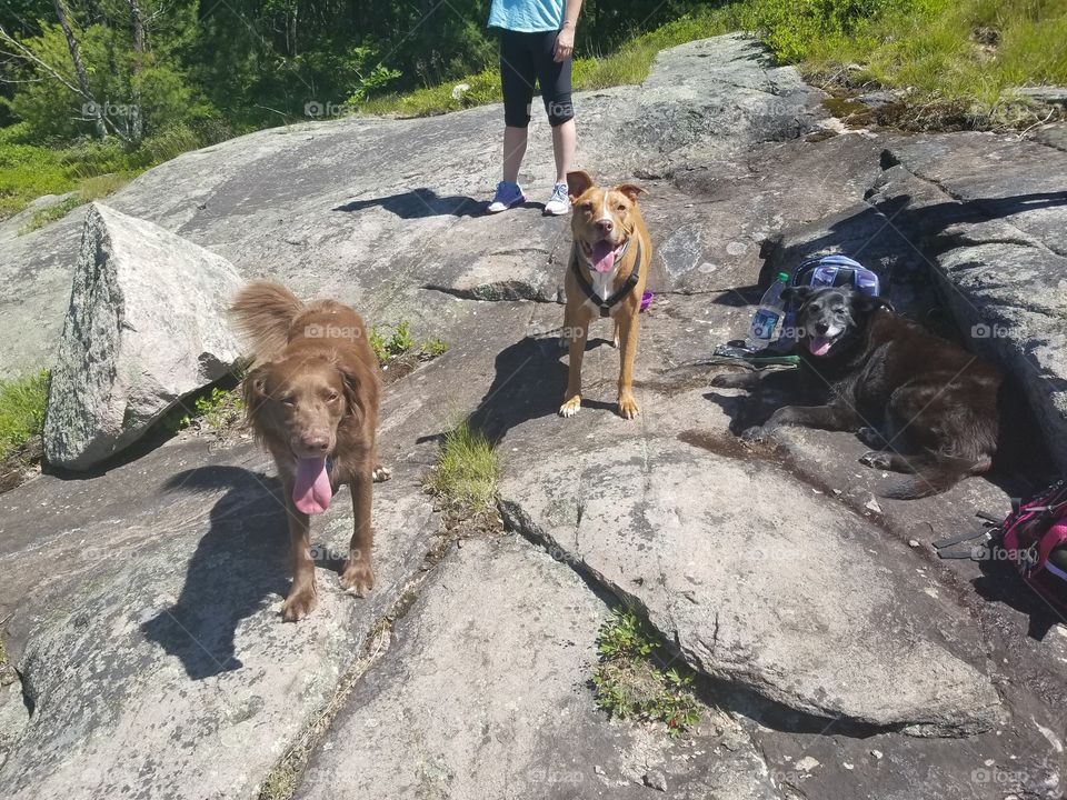 hiking buddies