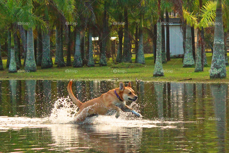 Zoey playing