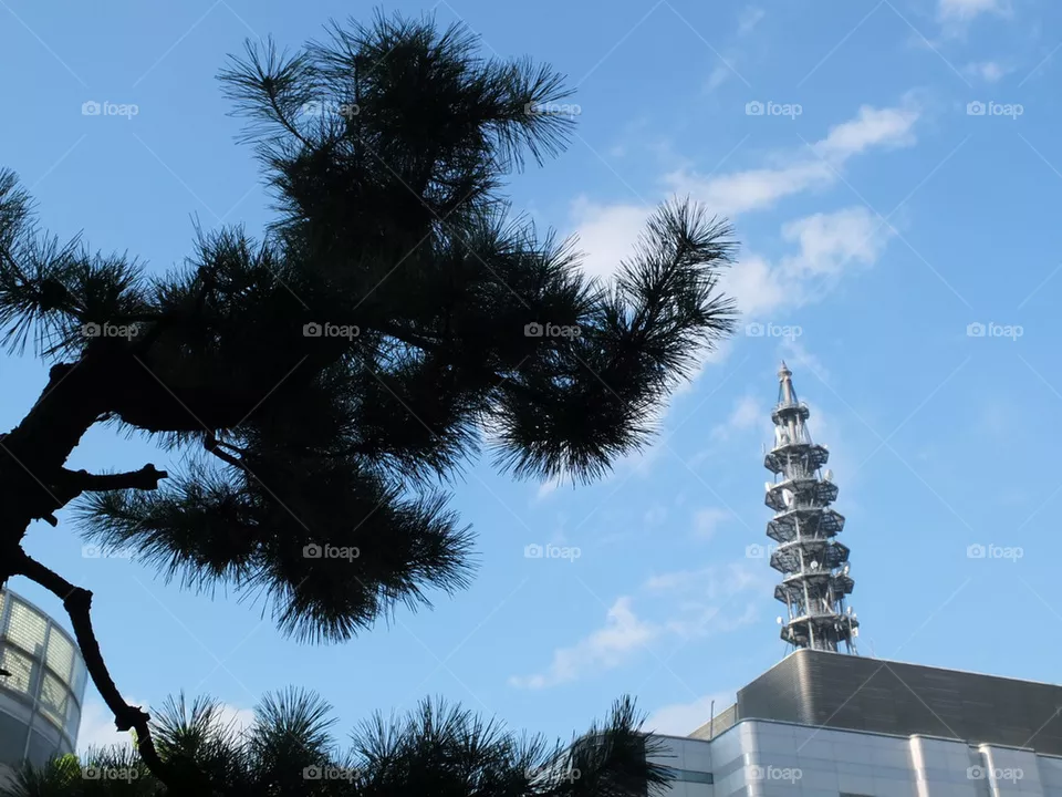 tower