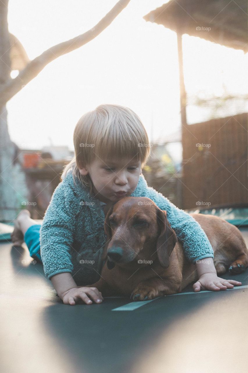 walking the dog down the street, the owner walks the weakling, teaches her, cleans up after her, educates, plays with his pet. people and dogs are best friends