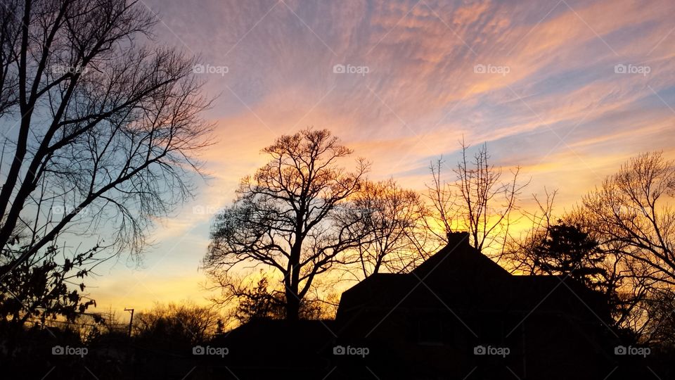 Beautiful sunset. This is a sunset with a tree in the foreground
