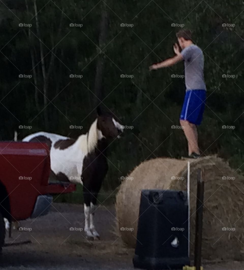 Bella wondering why TJ is on her food. 