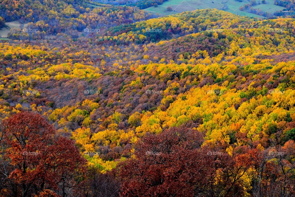 colorful countryside