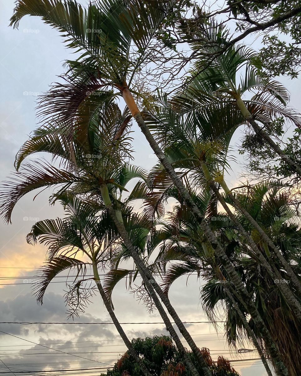 🌄🇺🇸 An extremely beautiful dawn in Jundiaí, interior of Brazil. Cheer the nature! / 🇧🇷 Um amanhecer extremamente bonito em Jundiaí, interior do Brasil. Viva a natureza! 