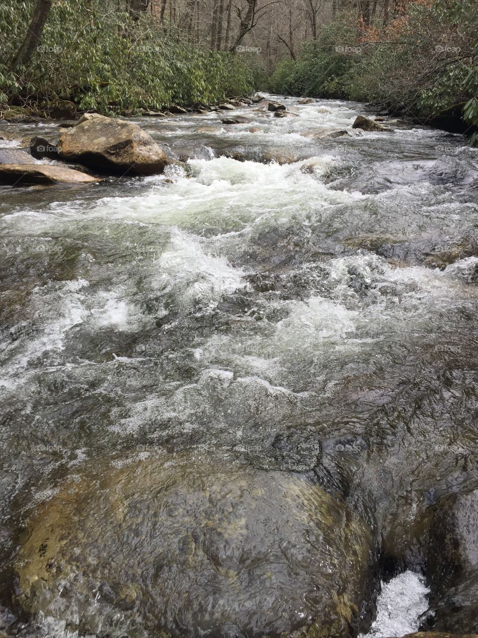 Mountain Stream