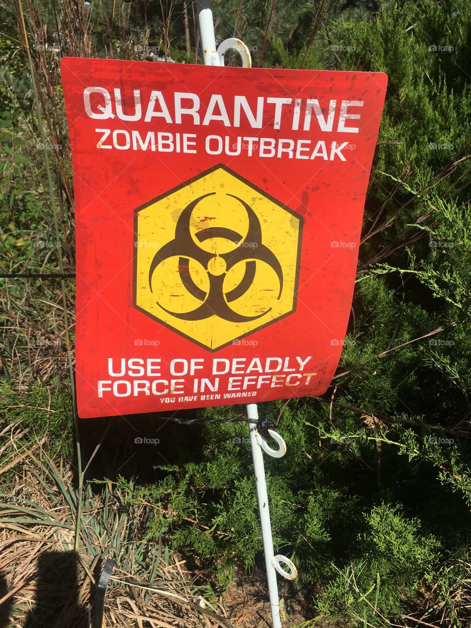 Zombie Caution