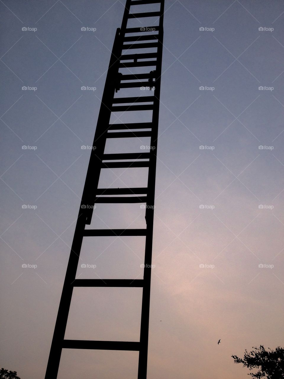 Going up. Ladder to the heavens