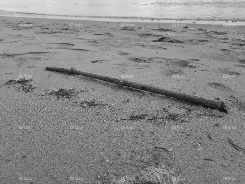monochrome style of a small branch lying on the sand