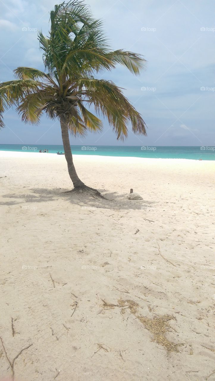 Aruba beach paradise