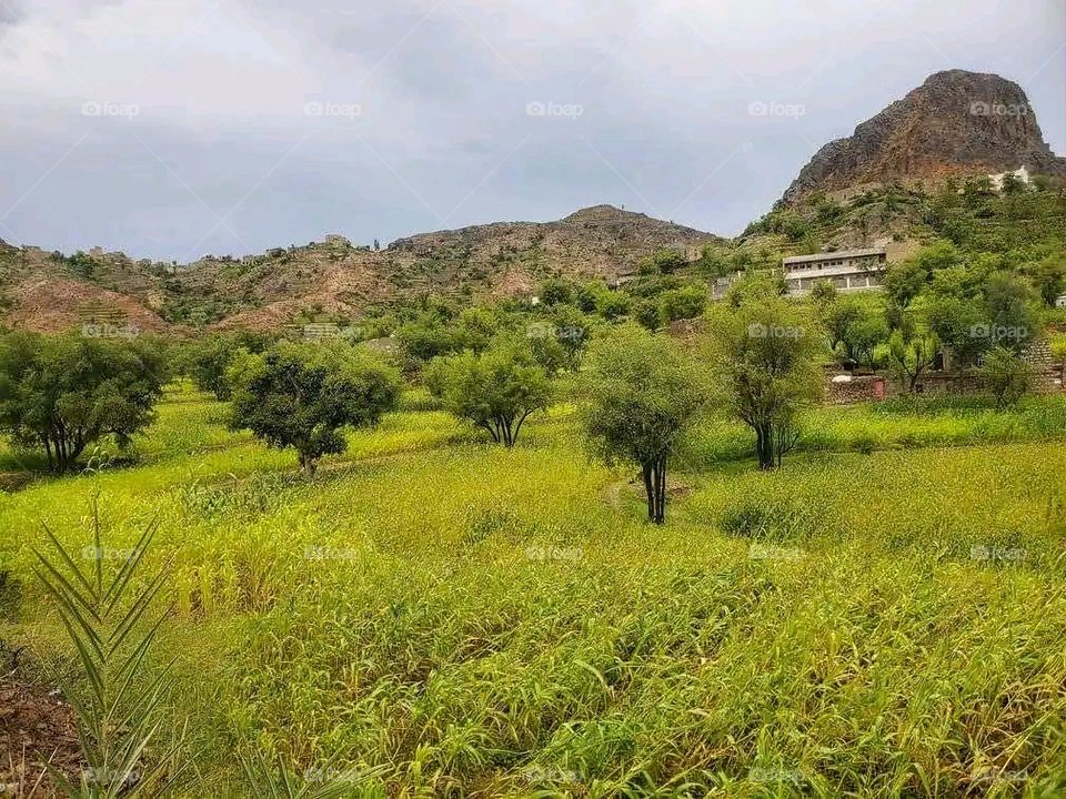 Glory be to God, the magnificent and picturesque view and the natural green trees are a view that is nothing more wonderful than it