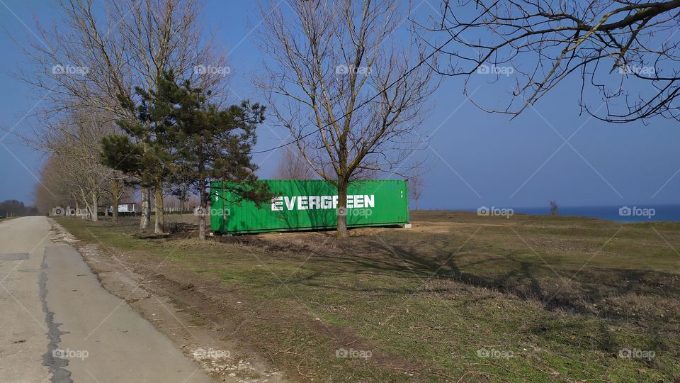 An Abandoned Evergreen Container in the Fields