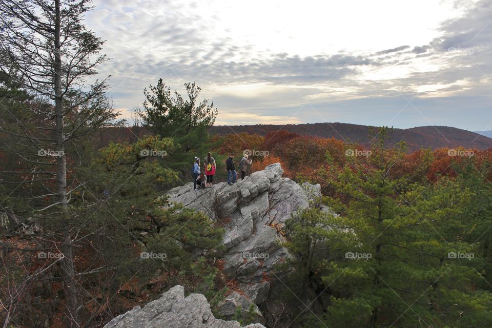 fall view