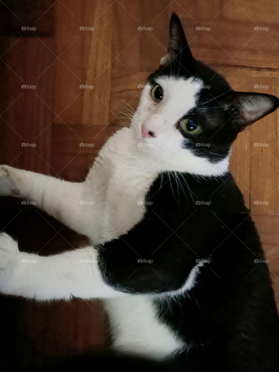 Bobby Boy is my Name