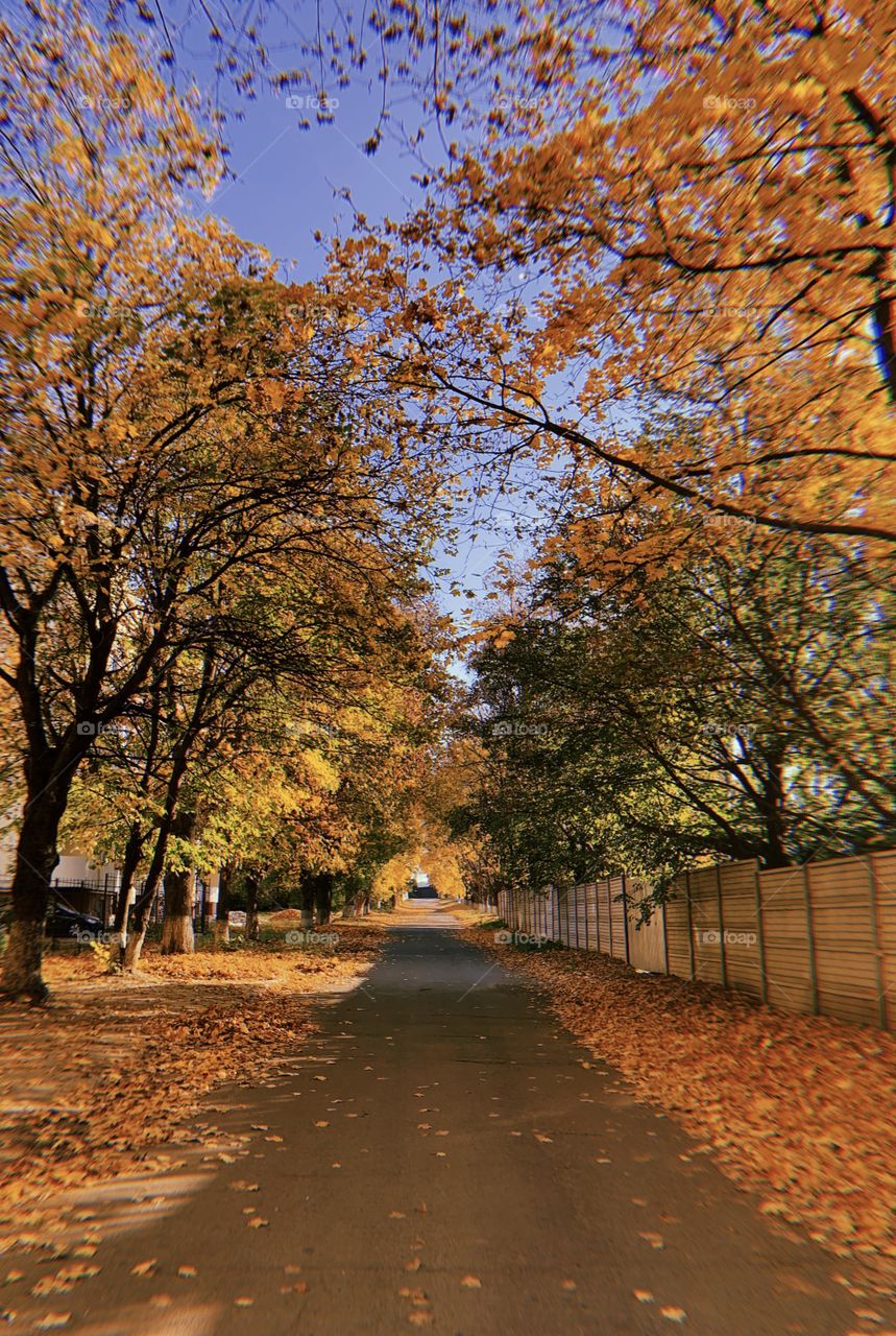 All streets become beautiful in autumn 