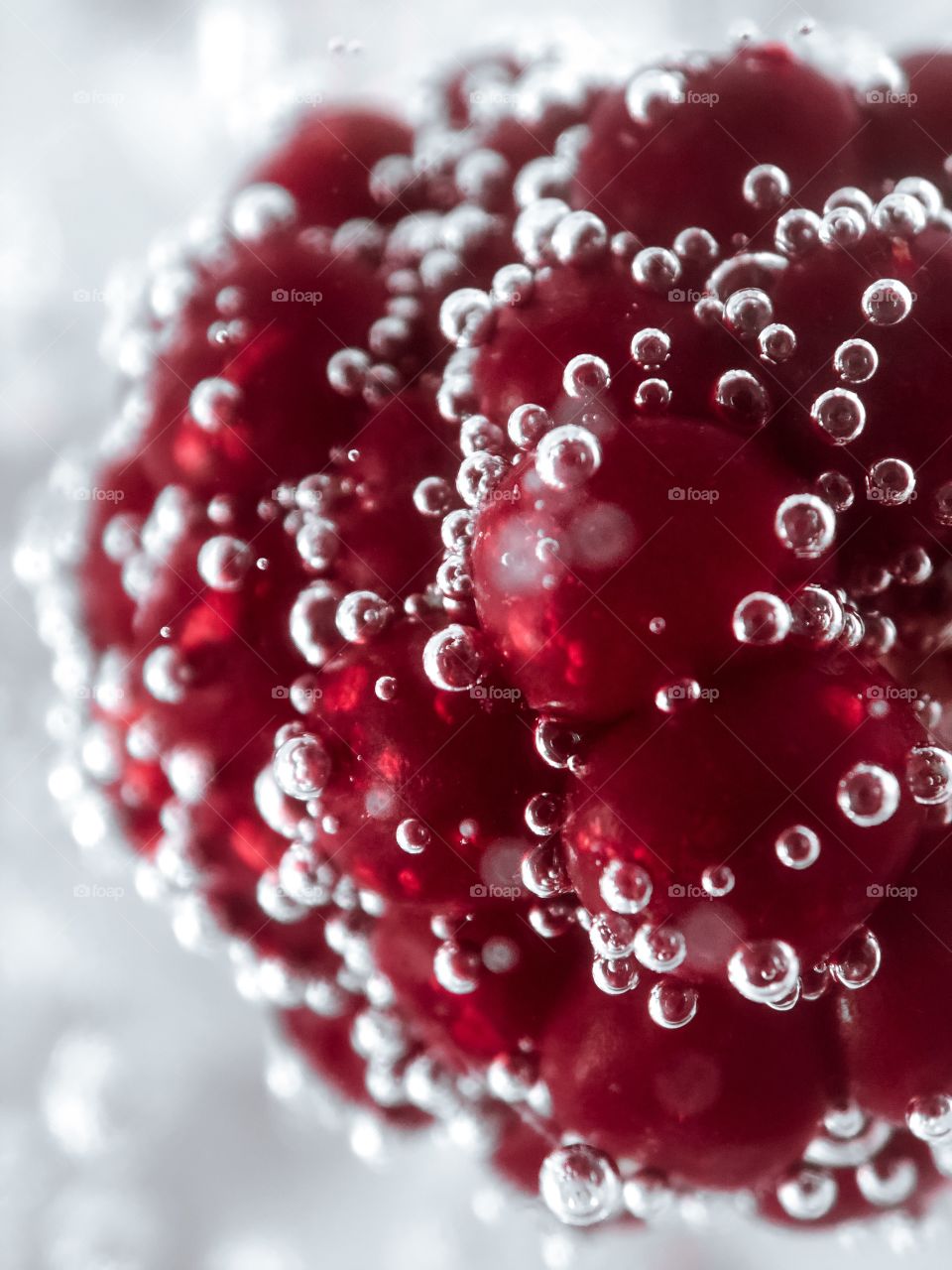 blackberry in the bubbles 