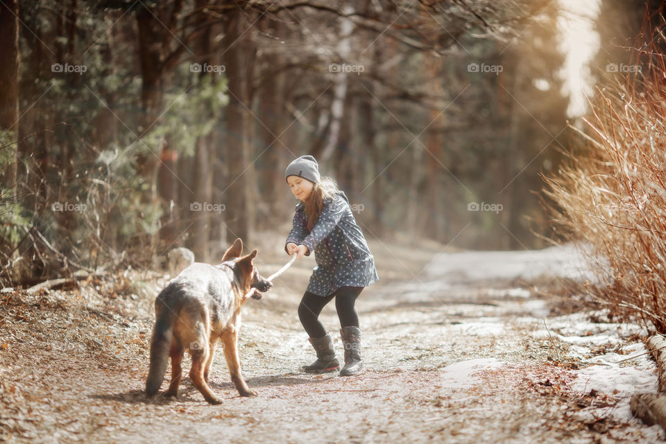 Girl walking with German shepherd puppy in a spring forest 