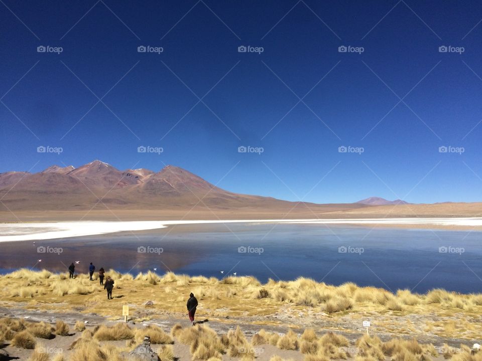 Lake on the mountain