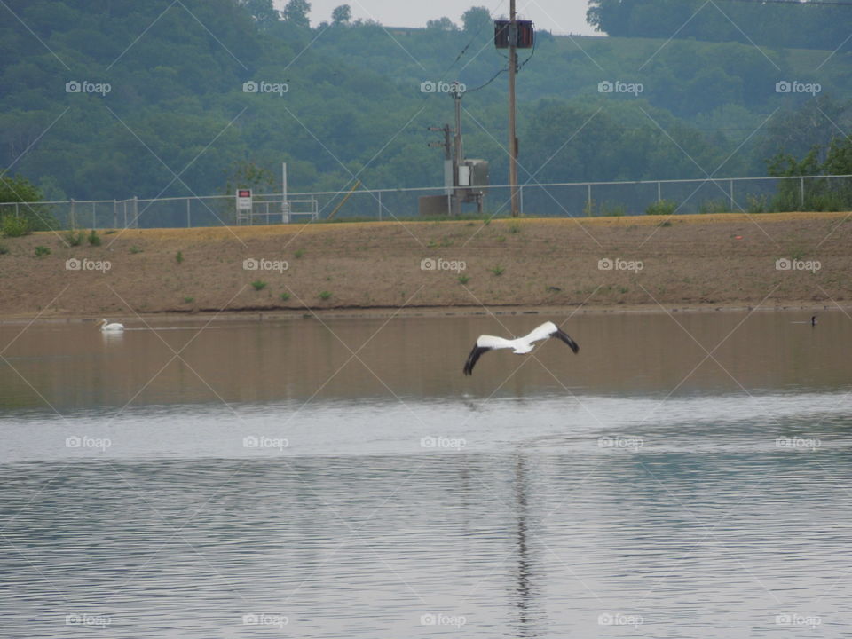 Water, River, Lake, Landscape, Action