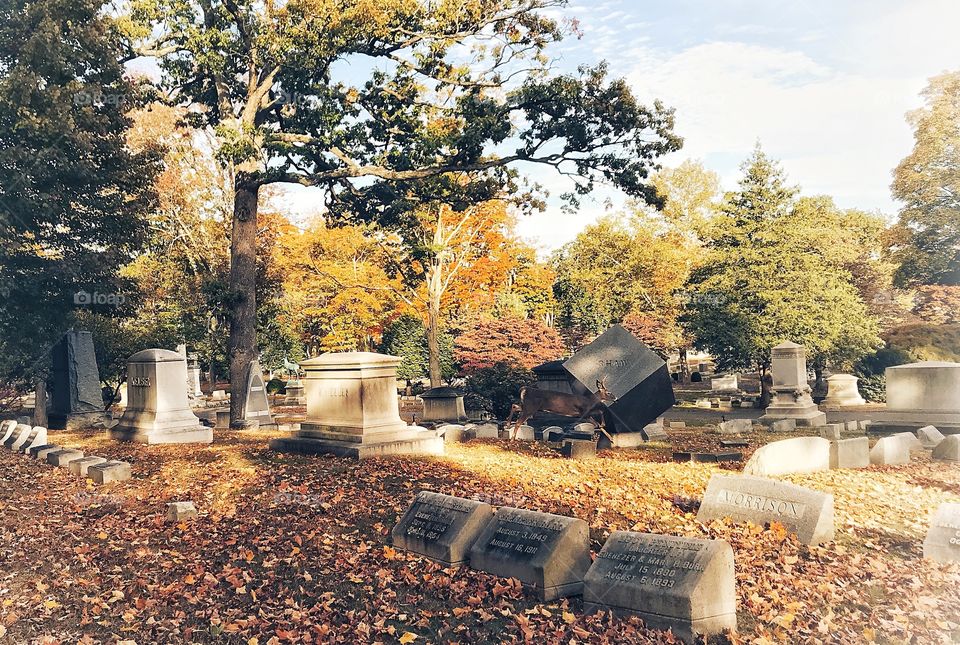 Mountain Grove Cemetery 