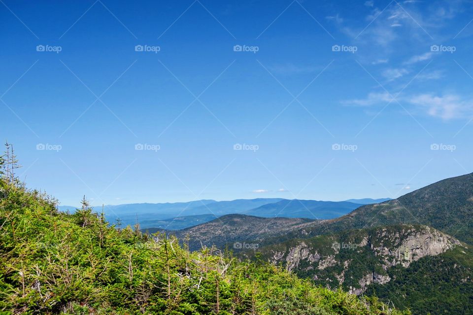 View of  mountains and  trees