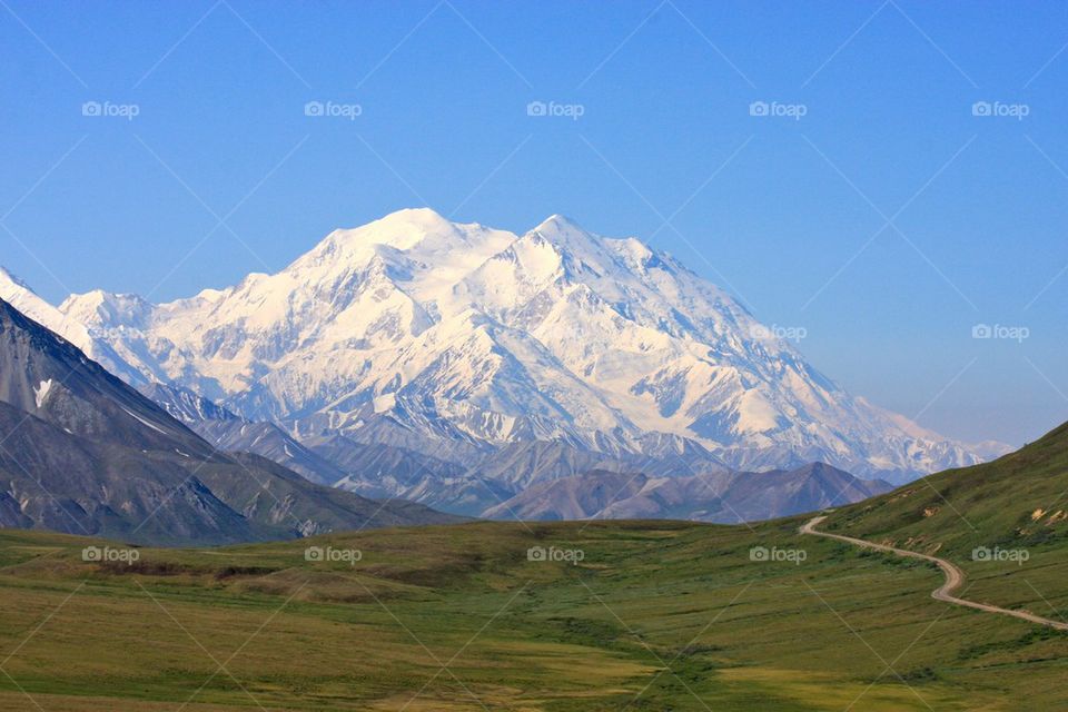 Scenic view of nature