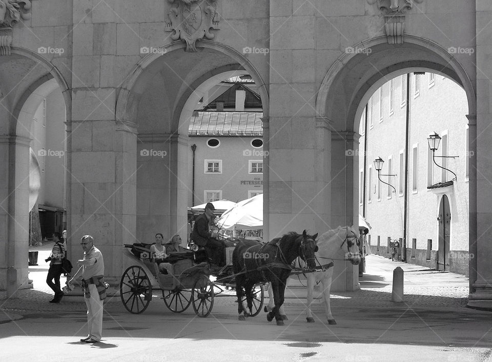 Horse and carriage