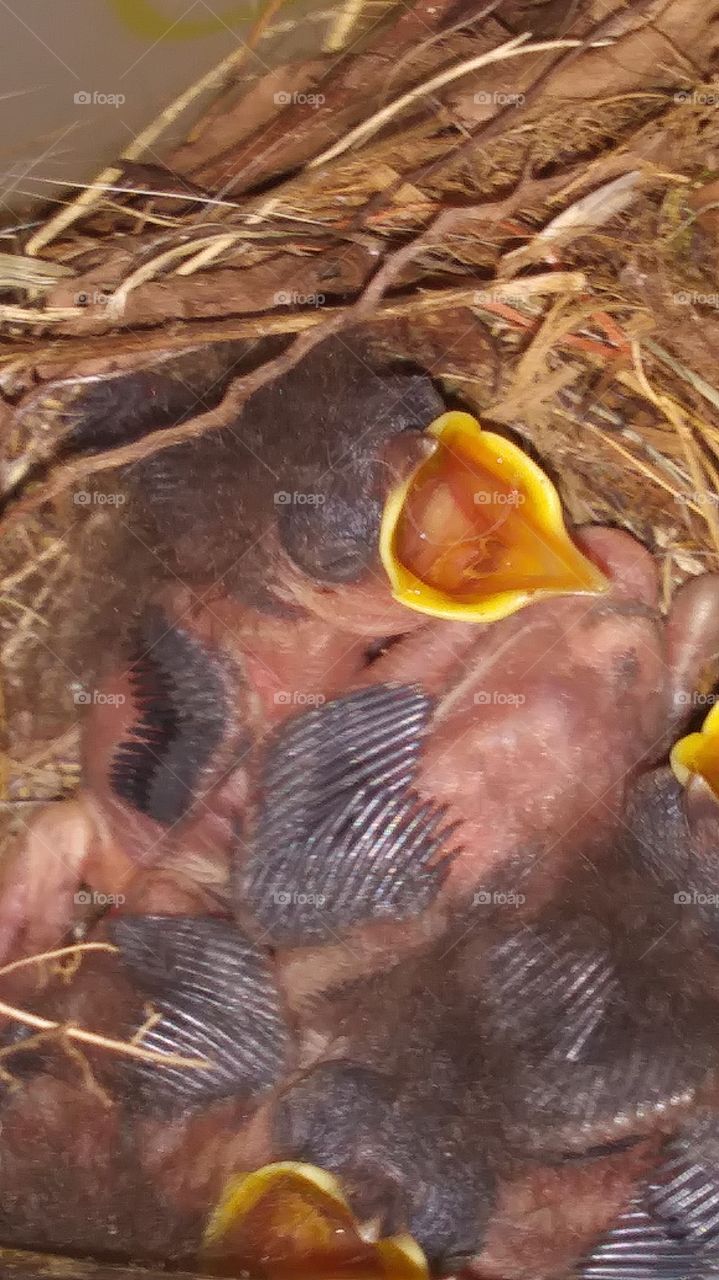 BABIES!!!!!!!!!!☺💝