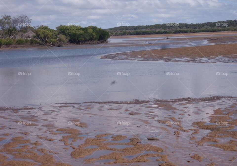 Low Tide