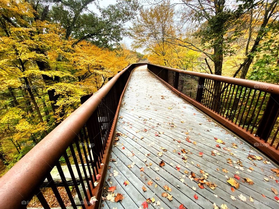 A high trestle bridge winding through an autumn forest in New York’s Hudson valley