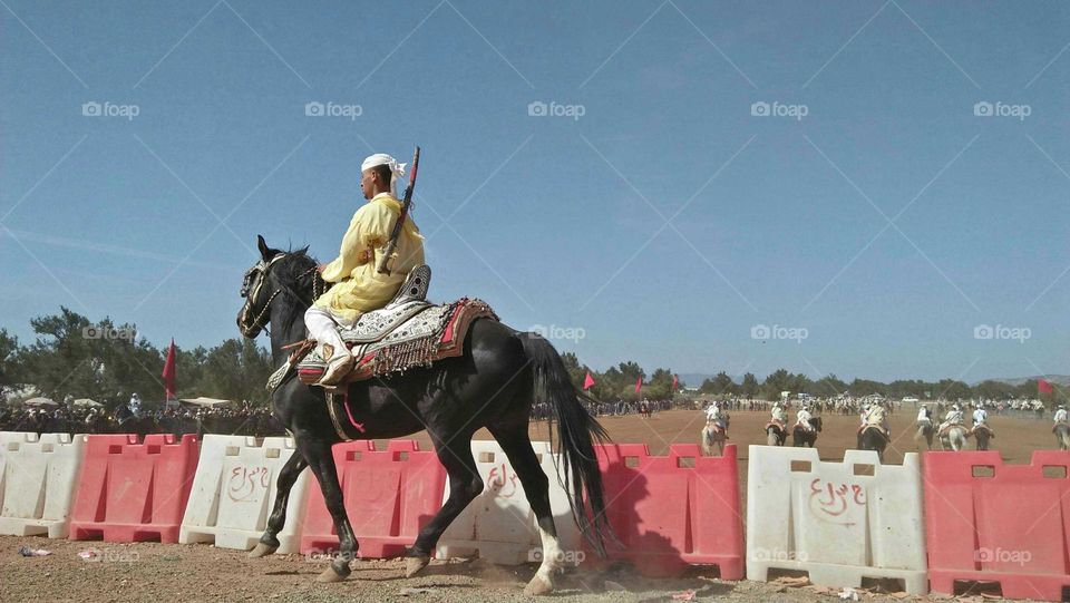 one cavalry on horse.