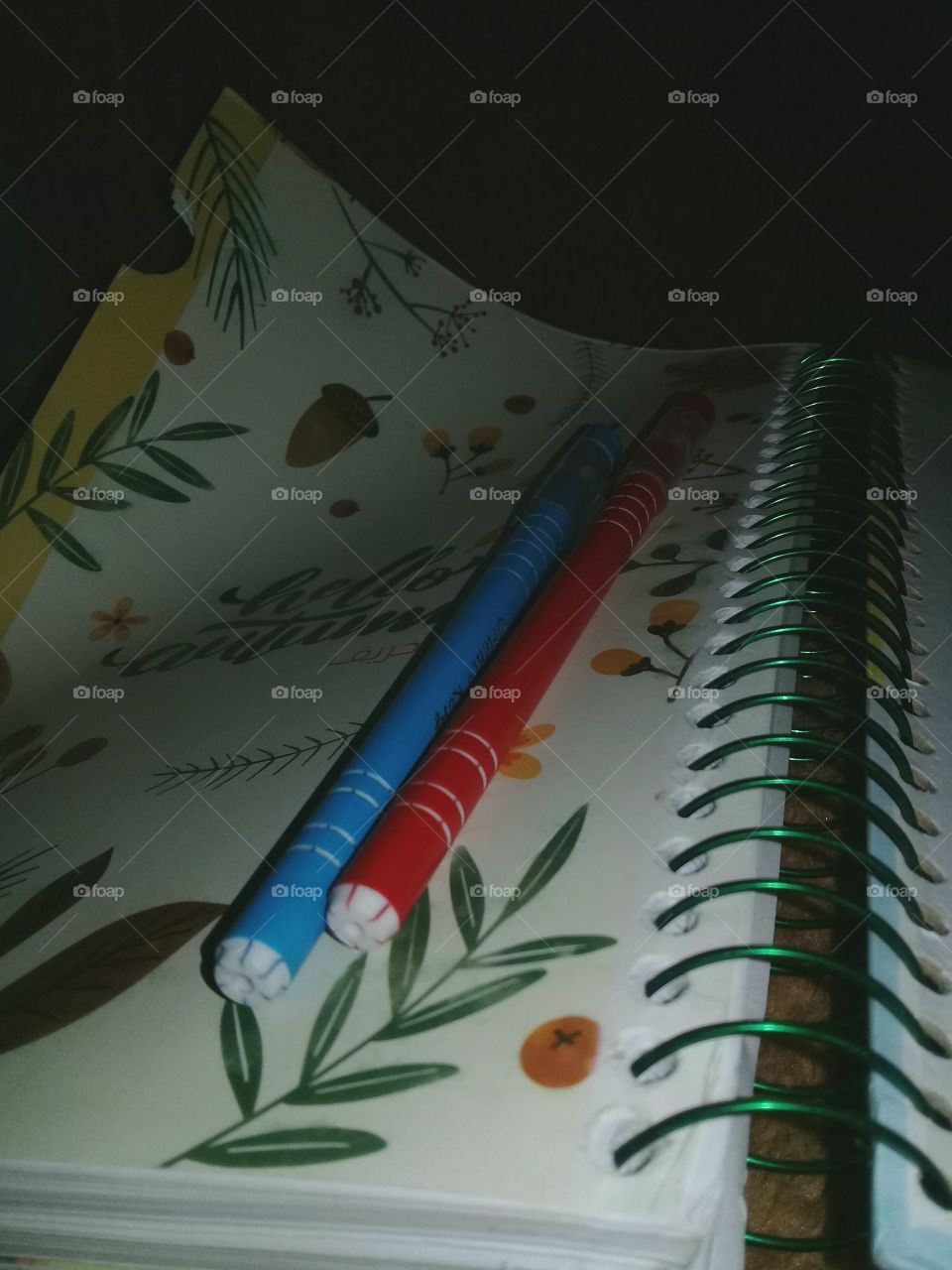 Notebook and pens