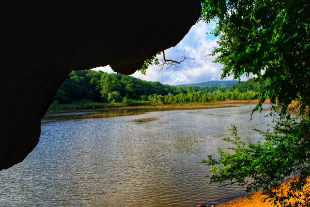 lake and forest