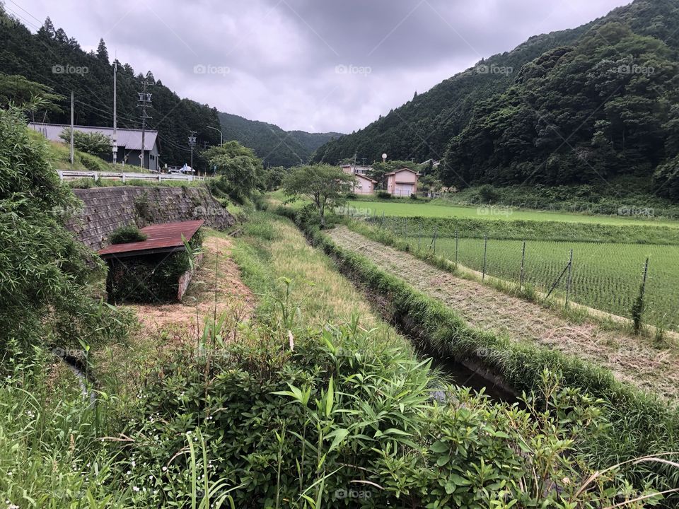 Japan agriculture 