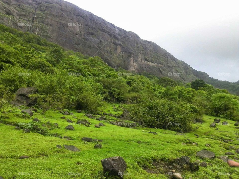Lush green mountains in the Sahyadris