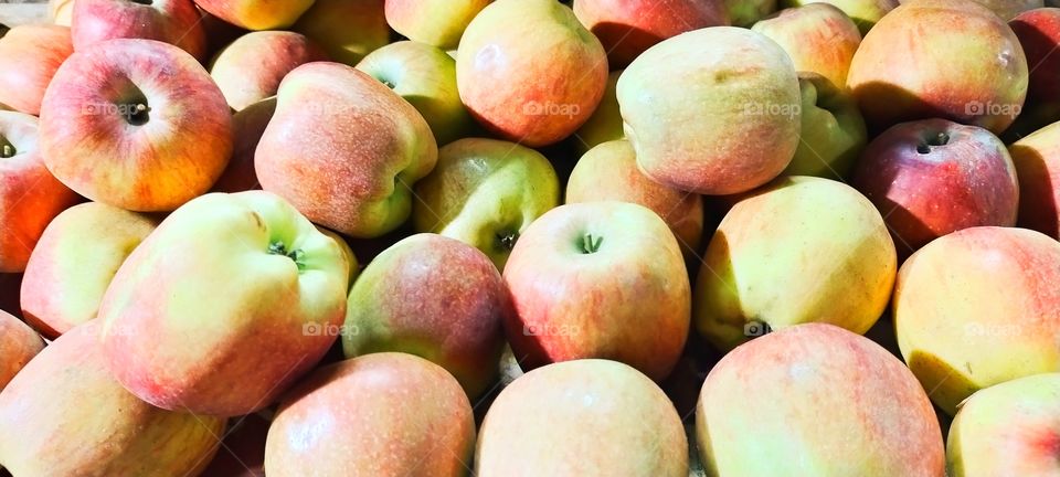 Symbol of health which support us for better nutrition.